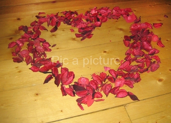 F-0003, Heart-of-roses